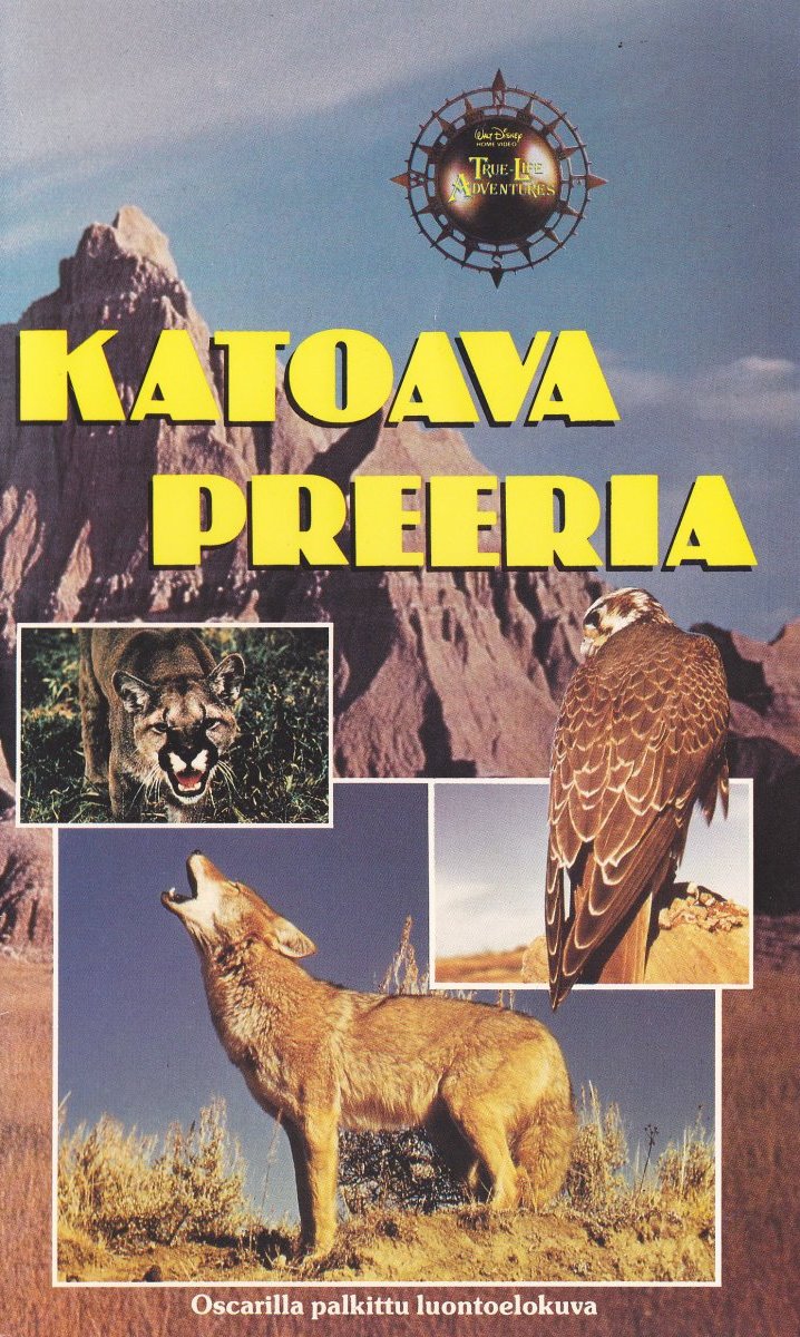 1954