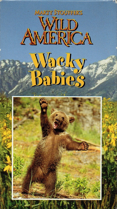 1982