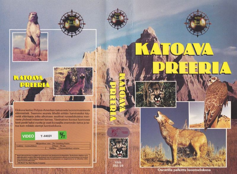 Kansikuva